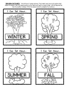 Weather Seasons Kindergarten Activity Image