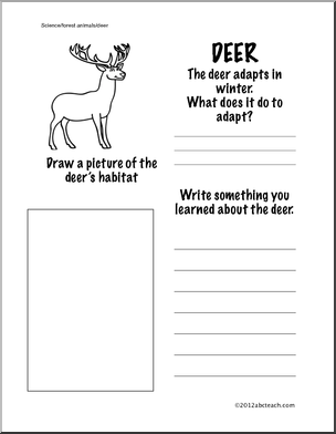 1st Grade Science Worksheets Animals