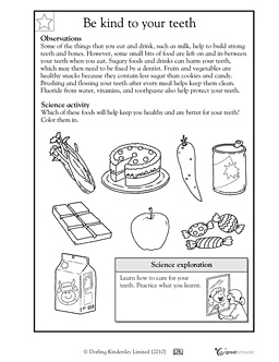 2nd Grade Health Worksheets
