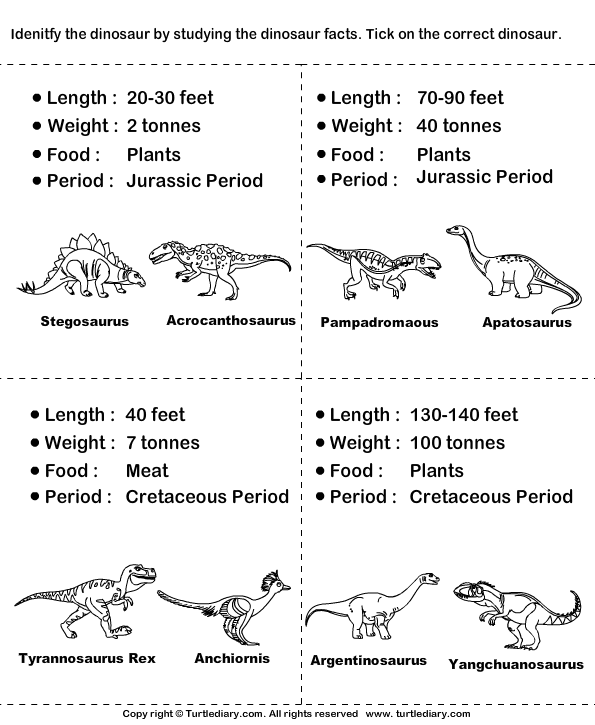 Dinosaur Worksheets Grade 1
