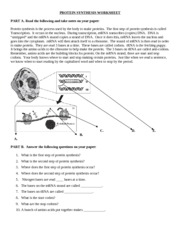 Protein Synthesis Worksheet Answers Image