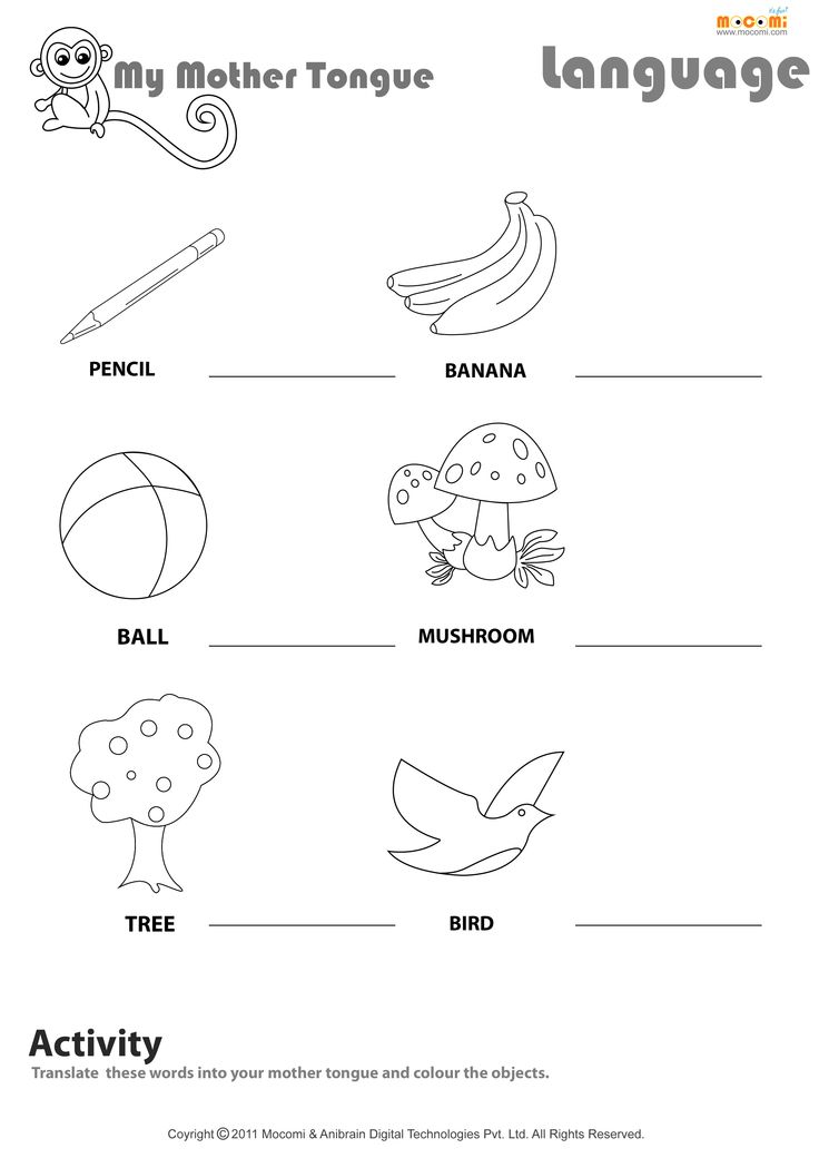 13-holidays-around-the-world-worksheets-worksheeto