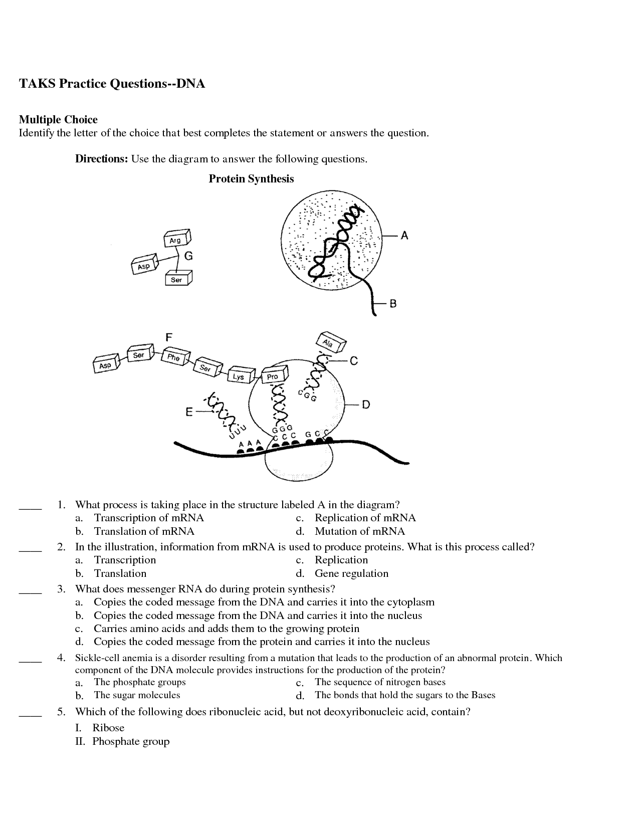 how to do protein synthesis worksheet