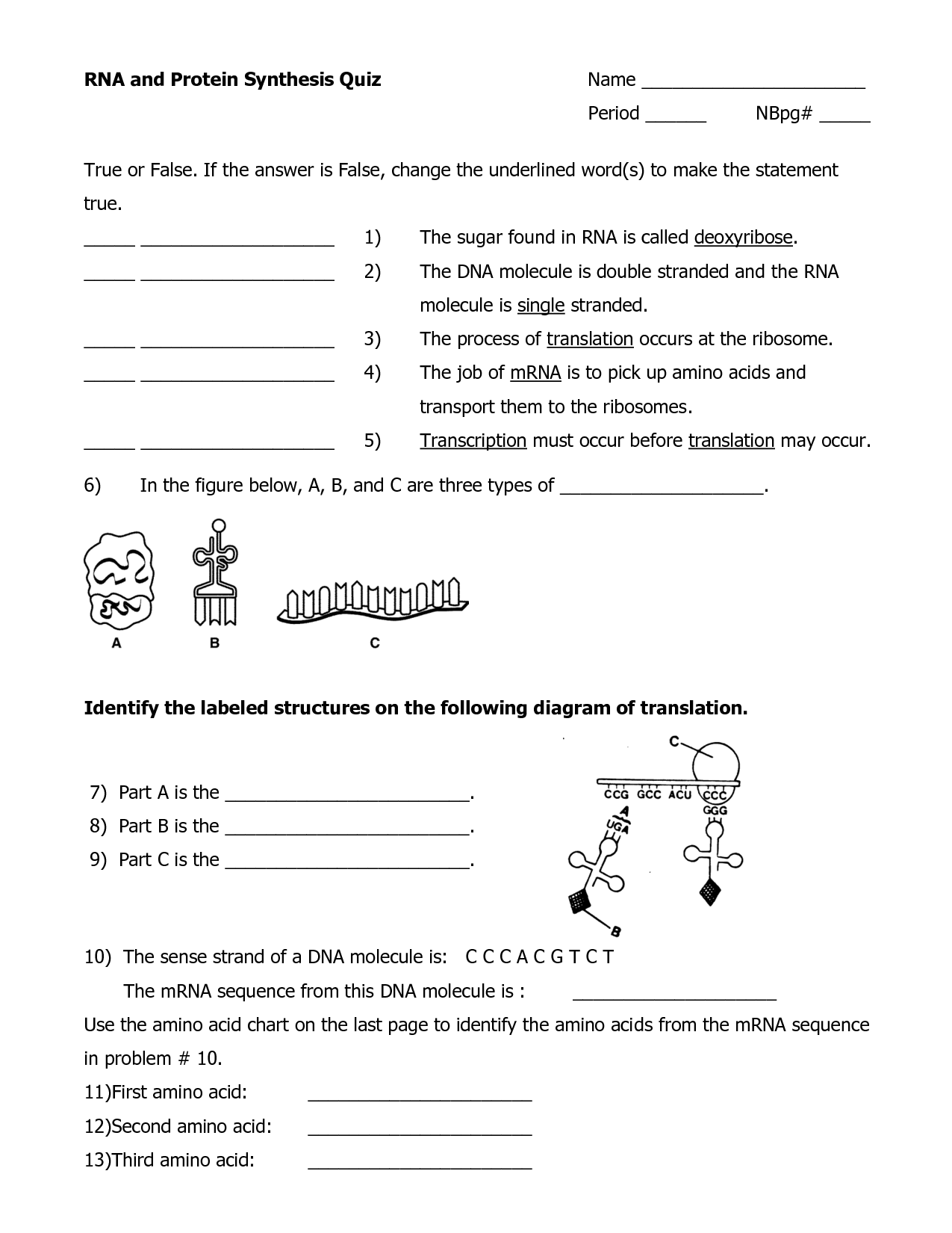 worksheet dna rna and protein synthesis answers