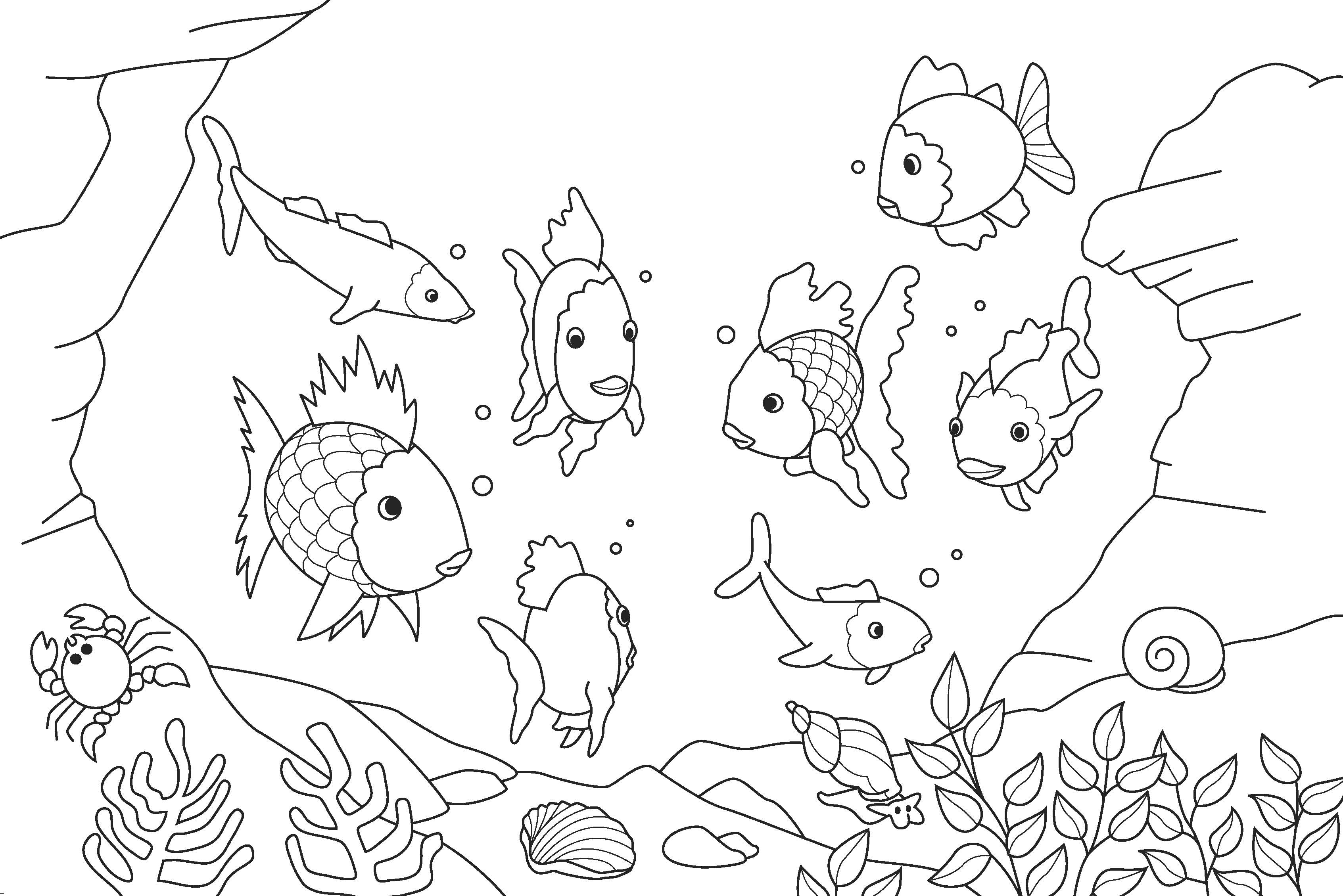 Fish Coloring Pages Kids Image