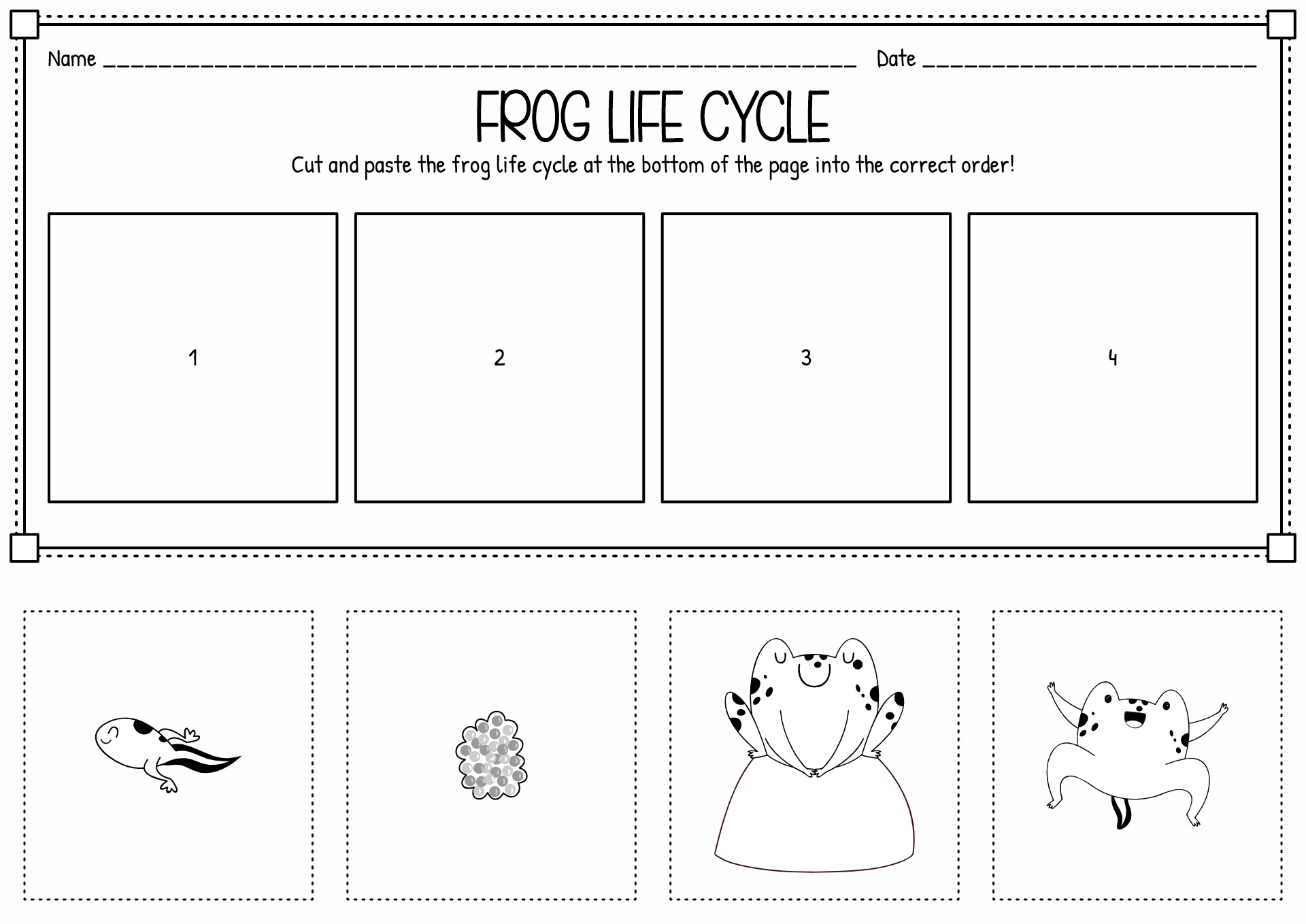 Frog Life Cycle Cut and Paste Image