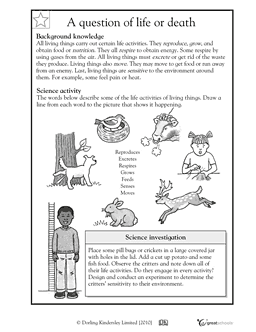 Life Science Worksheets 4th Grade Image
