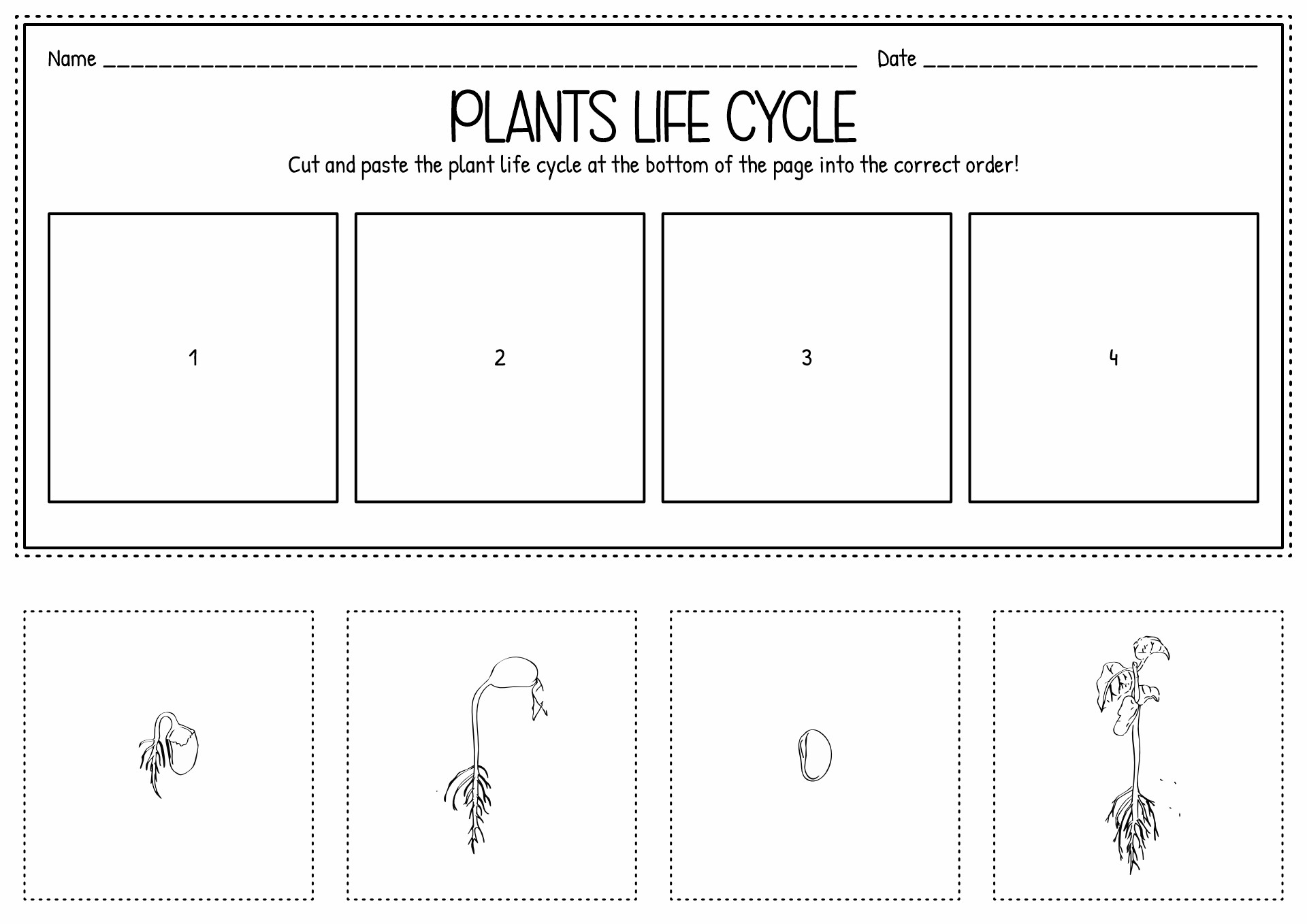 Cut and Paste Plant Worksheets
