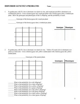 Punnett Square Practice Problems Worksheet Image