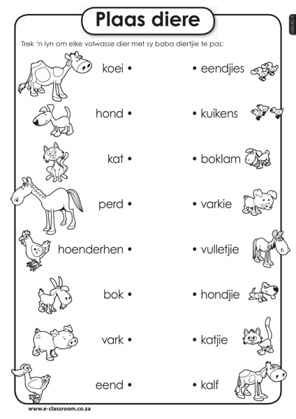Animal First Grade Math Worksheets Image