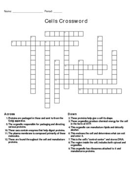 Cell Organelle Crossword Puzzle Answers Image