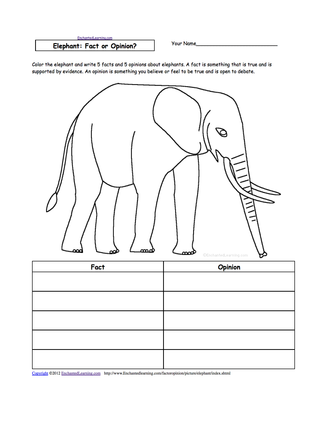 Elephant Life Cycle Worksheet