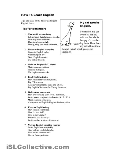 Free ESL Worksheets for Adults Beginners Image