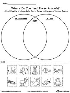 Printable Venn Diagram Worksheets Image