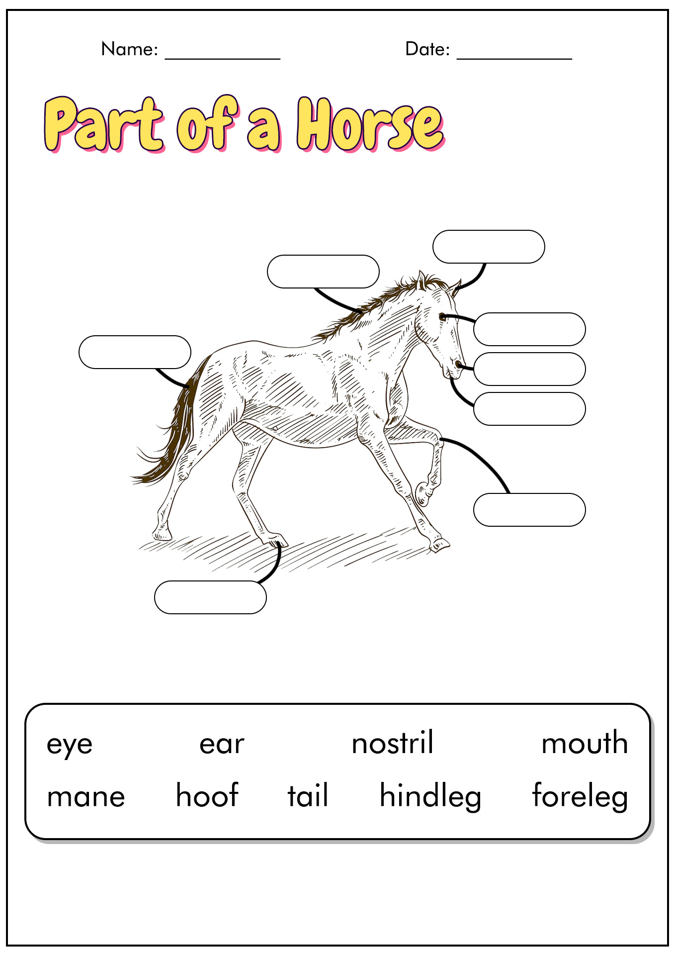 Blank Horse Parts Worksheet Image