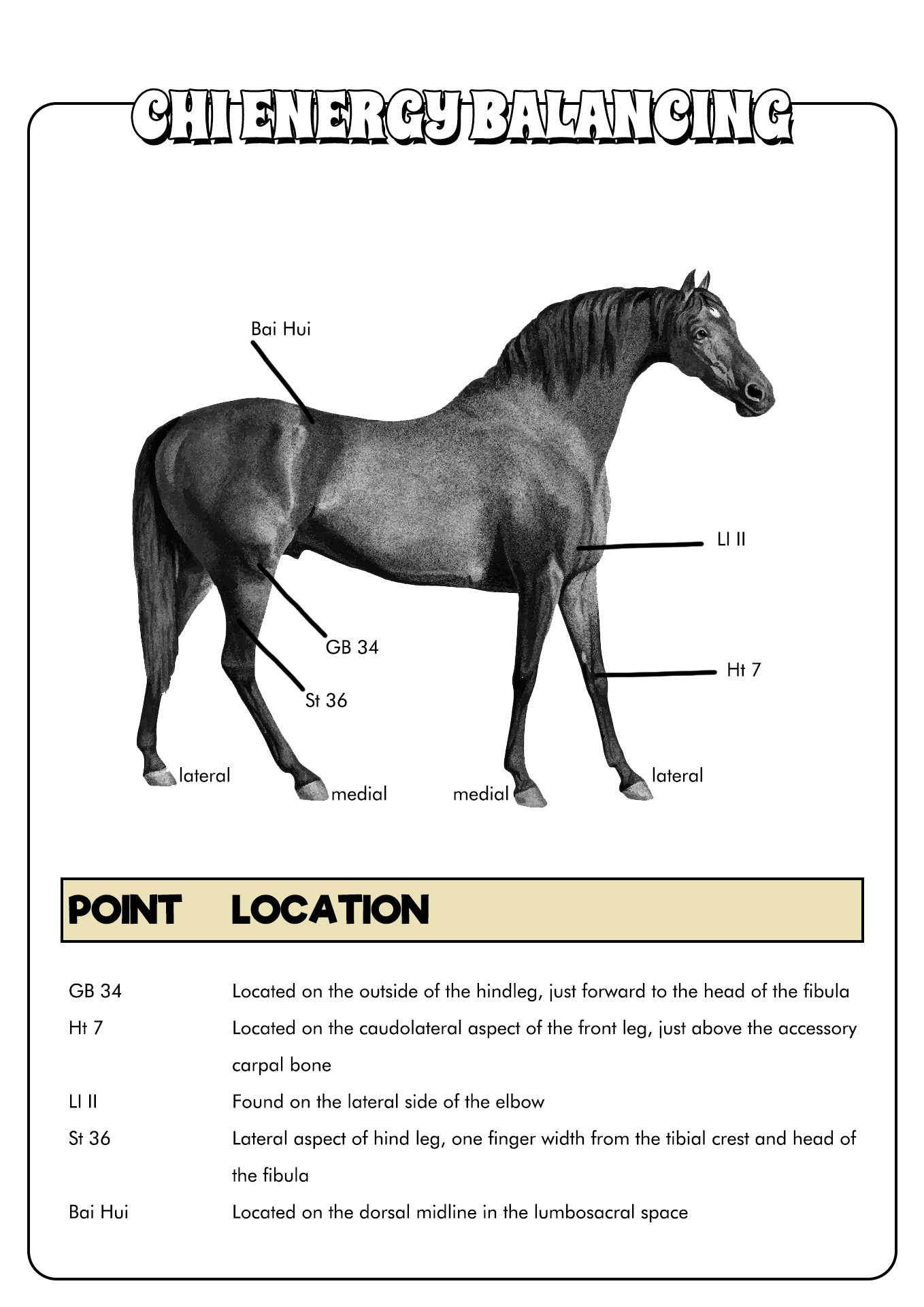 Horse Pressure Points Diagram Image