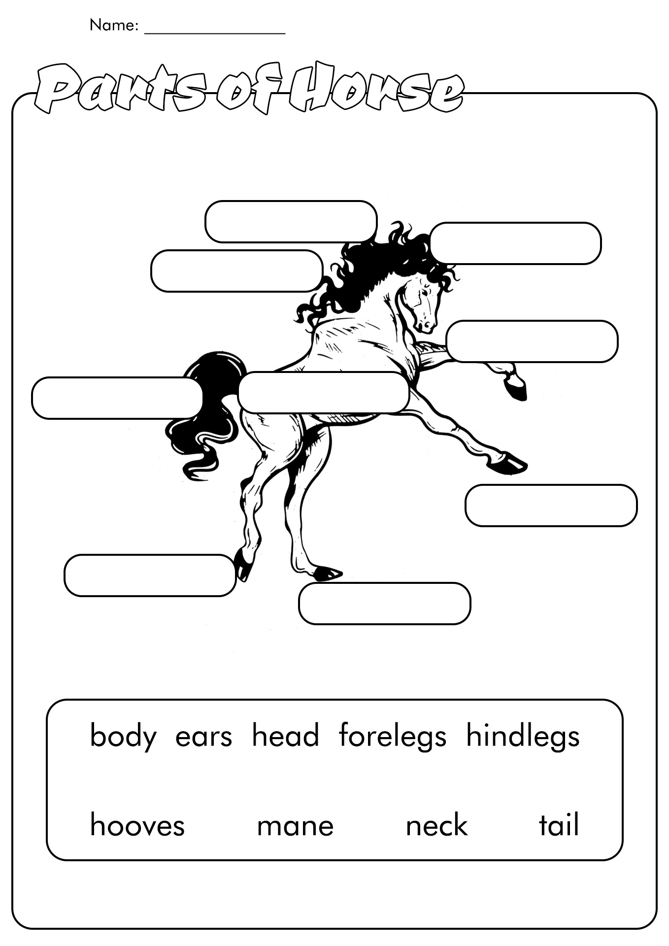 Horse Worksheets Printable Image