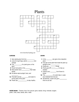 Plant Crossword Puzzle Worksheets Image