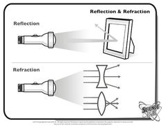 Reflection Refraction Worksheet Image