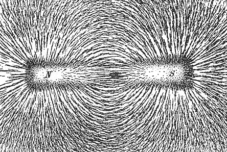 Magnetic Field Lines Iron Filings Image