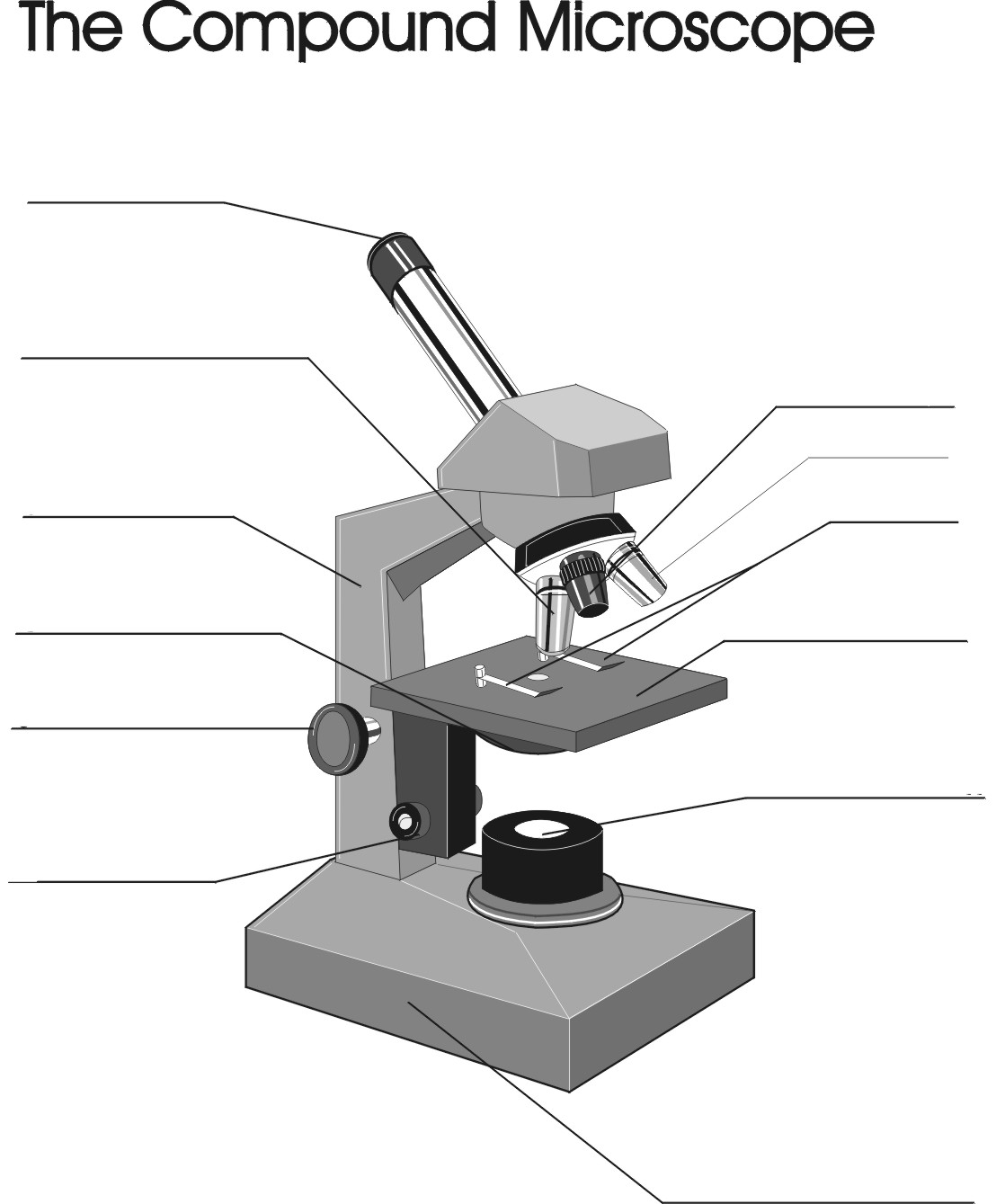 Microscope Parts Blank Diagram Image