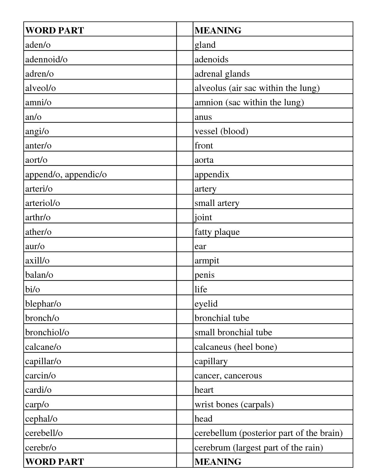 Prefixes and Suffixes Meanings Image