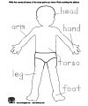 Printable Preschool Body Parts