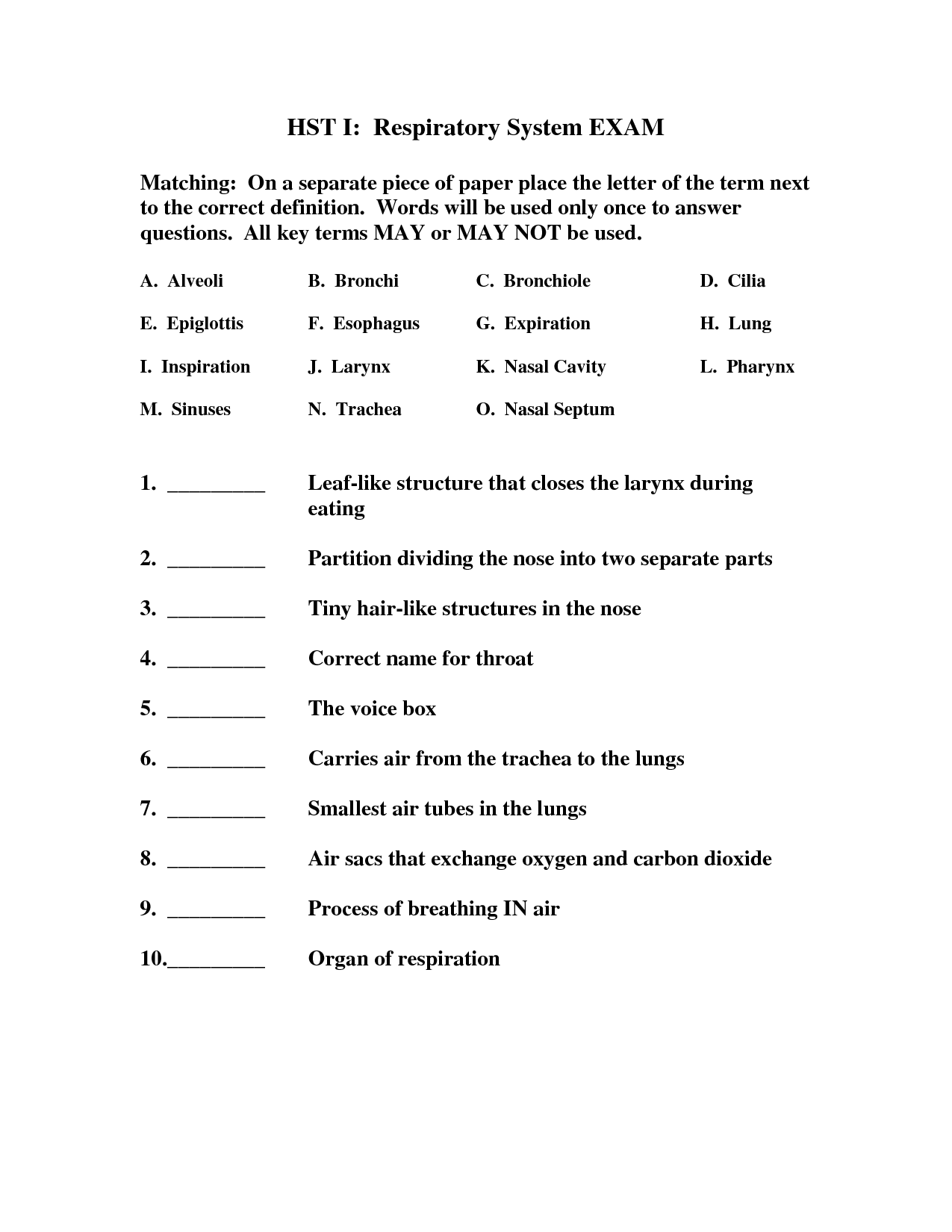 Respiratory System Worksheet with Word Bank Image