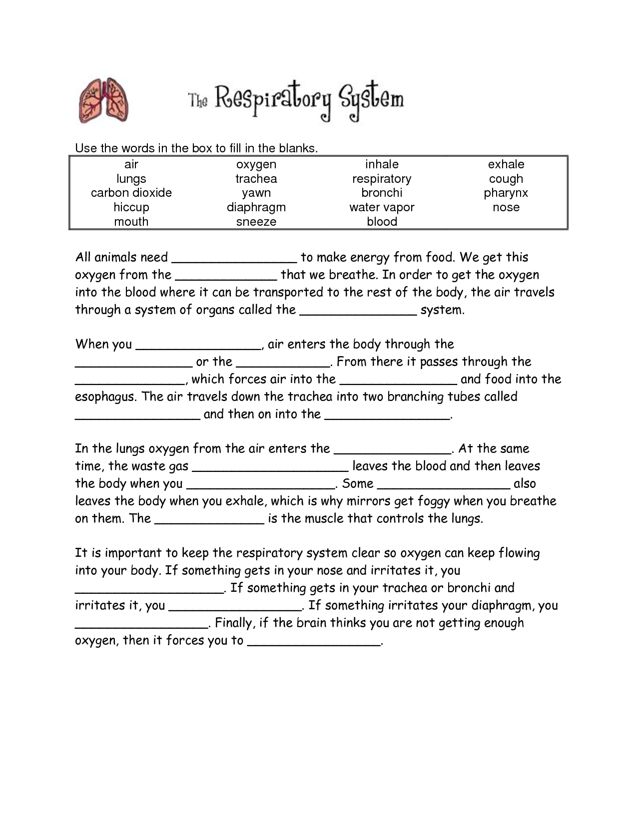 The Respiratory System Fill in Blanks Worksheet Answers Image