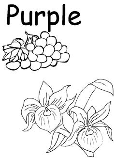 Color Purple Coloring Pages Worksheets Image