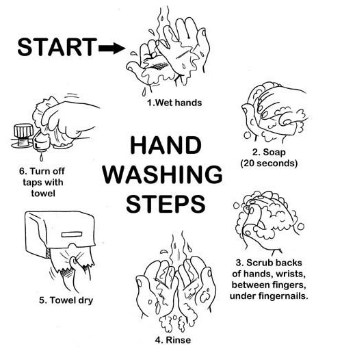 Hand Washing Steps Image