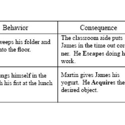 ABC Antecedent Behavior Consequence Chart Image