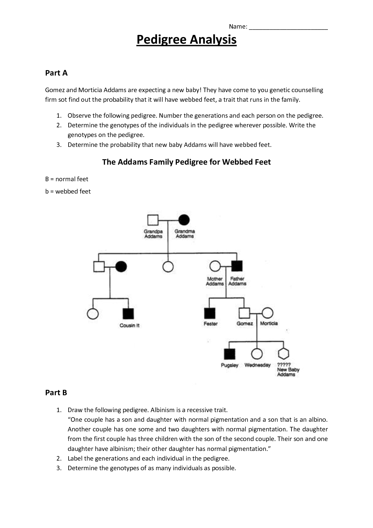 Genetics Pedigree Worksheet Answer Key Image