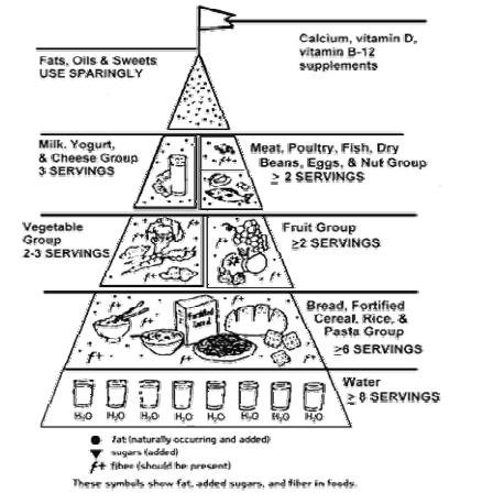 New Food Pyramid Worksheet Image