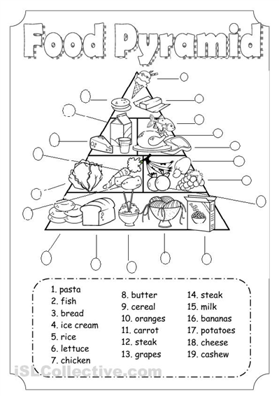 Worksheets Food Pyramid for Adults