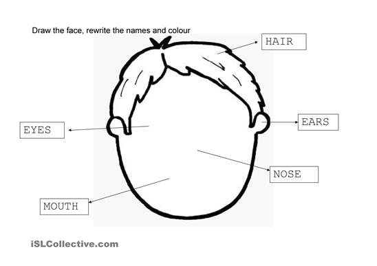 Face Worksheets Printable Image
