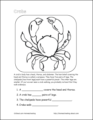 Free Printable Crab Worksheet Image