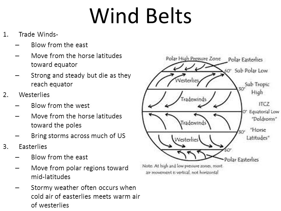 Global Wind Belts Worksheet Image