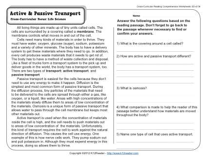 Reading Active and Passive Transport Worksheet Image