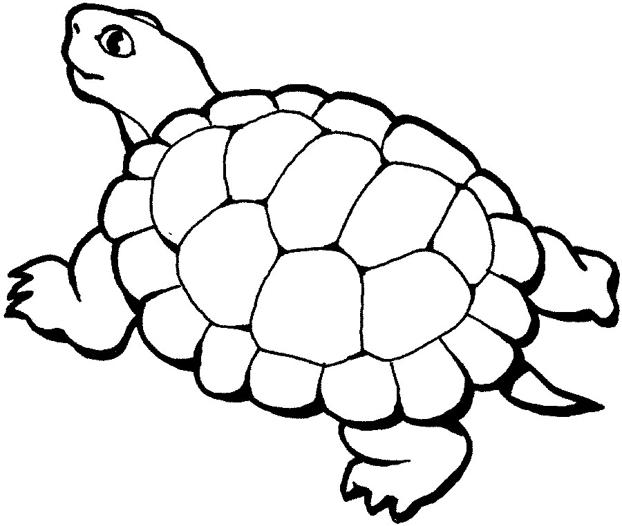 Animal Coloring Pages Image