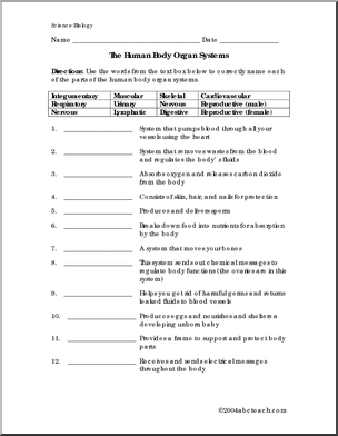 Body Systems Worksheets Middle School Image