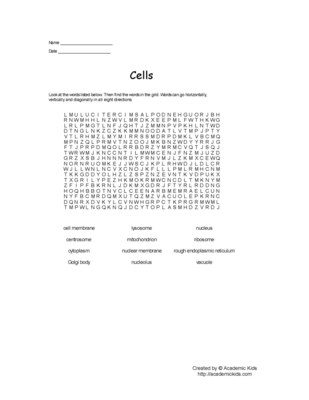 Cell Organelle Word Search Puzzles Image
