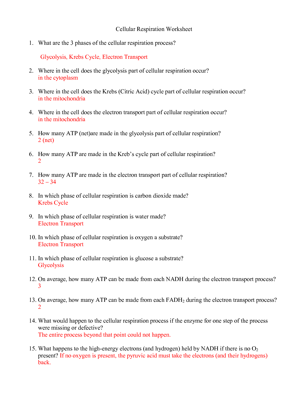 Cellular Respiration Worksheet Answer Key Image