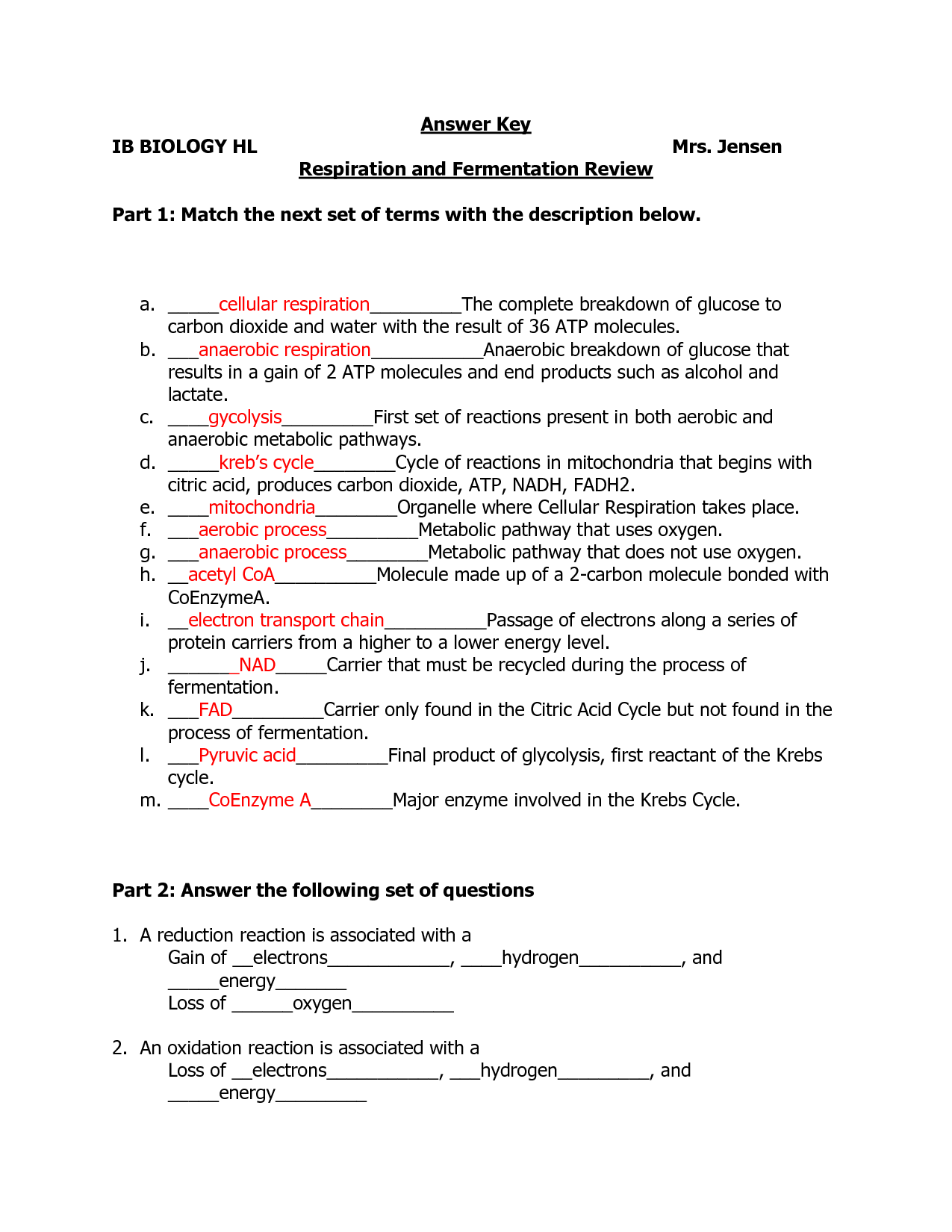 15 Chapter 9 Cellular Respiration Worksheet Worksheeto