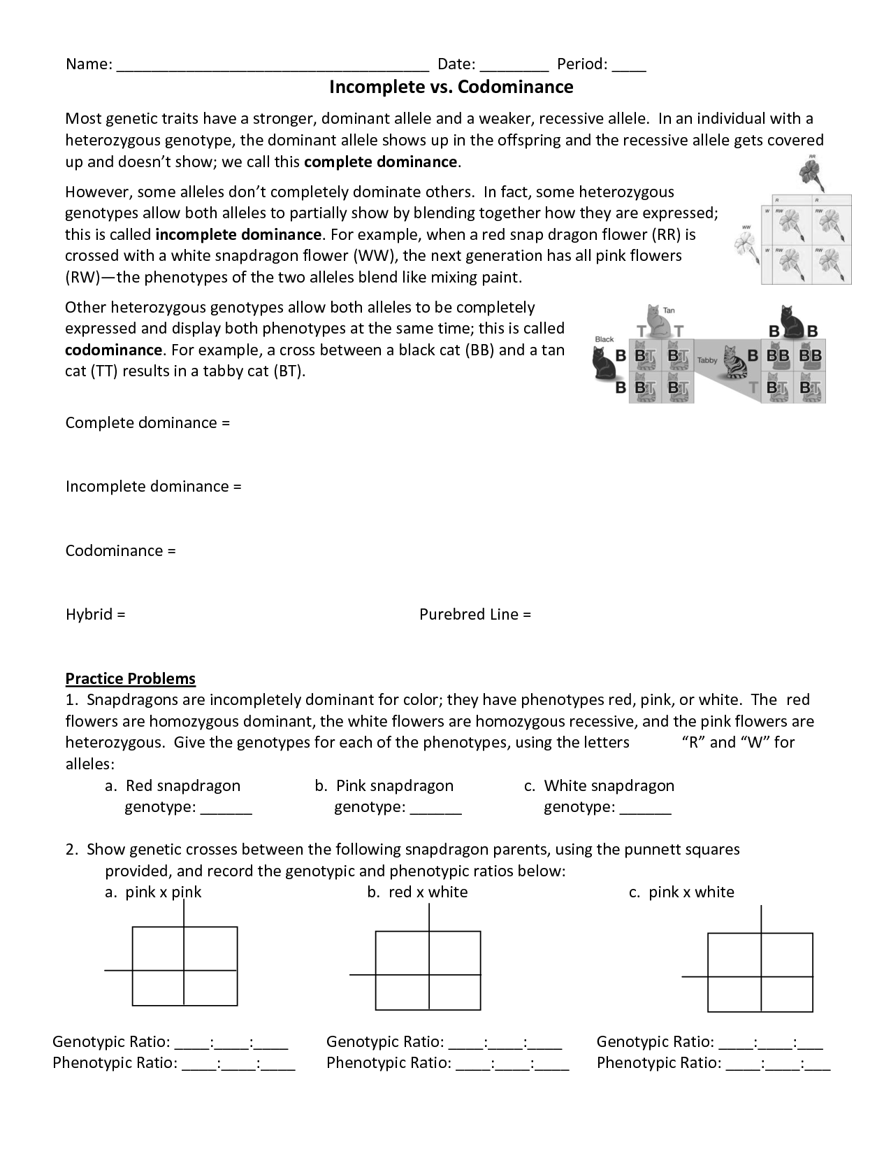 Incomplete Dominance Codominance Multiple Alleles Worksheet Answers