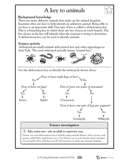 Dichotomou Key Science Worksheet Image