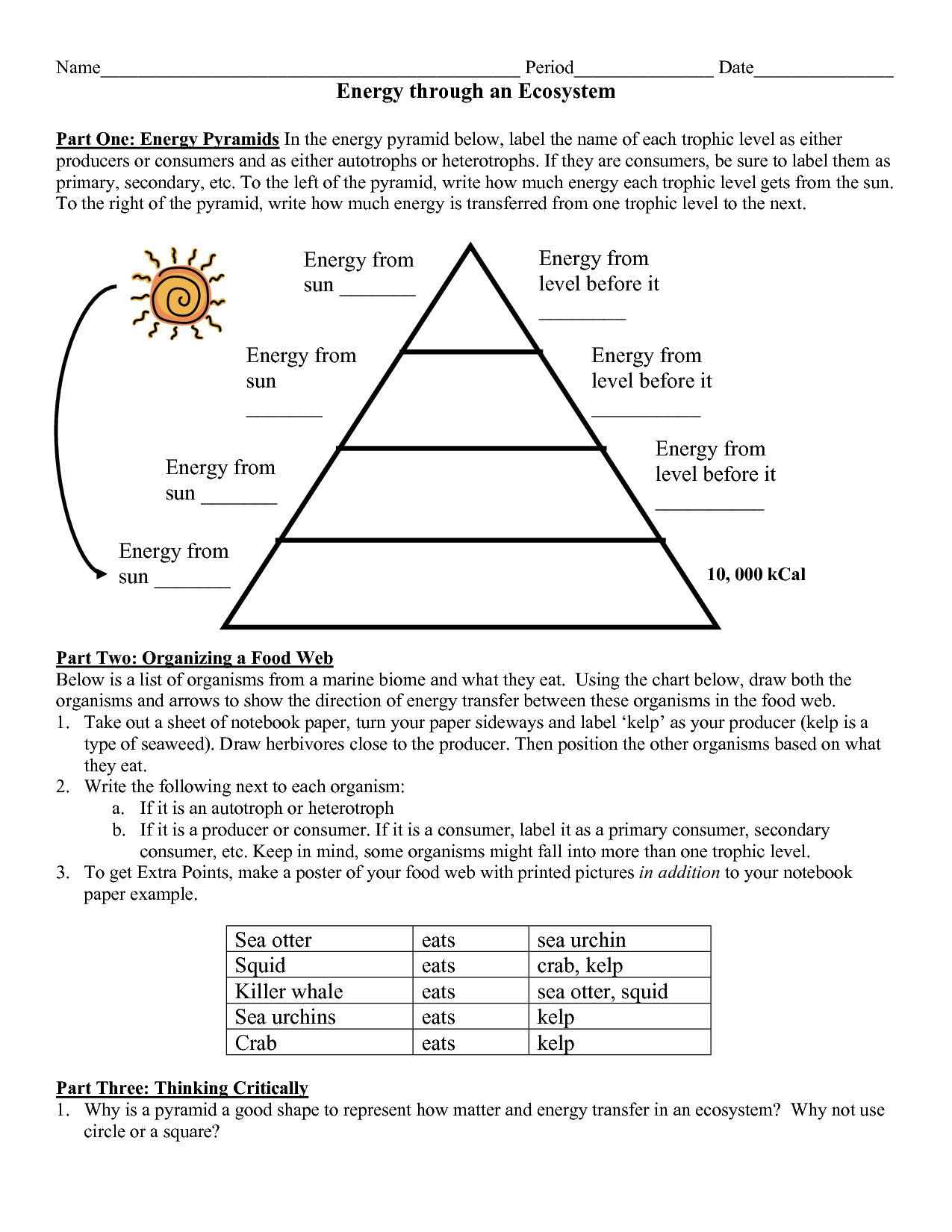 14-energy-pyramid-worksheet-middle-school-worksheeto