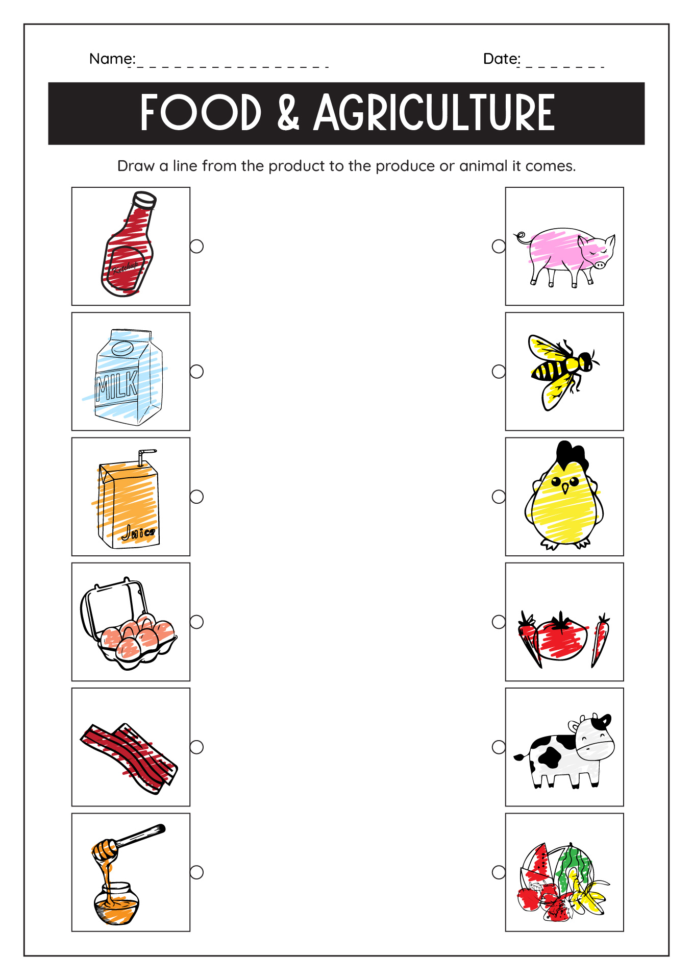 Food and Agriculture Worksheets