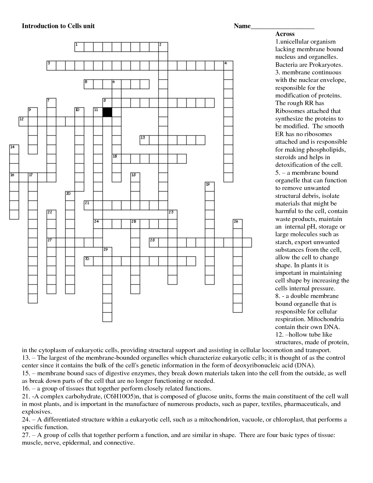 Plant and Animal Cell Crossword Puzzle Image