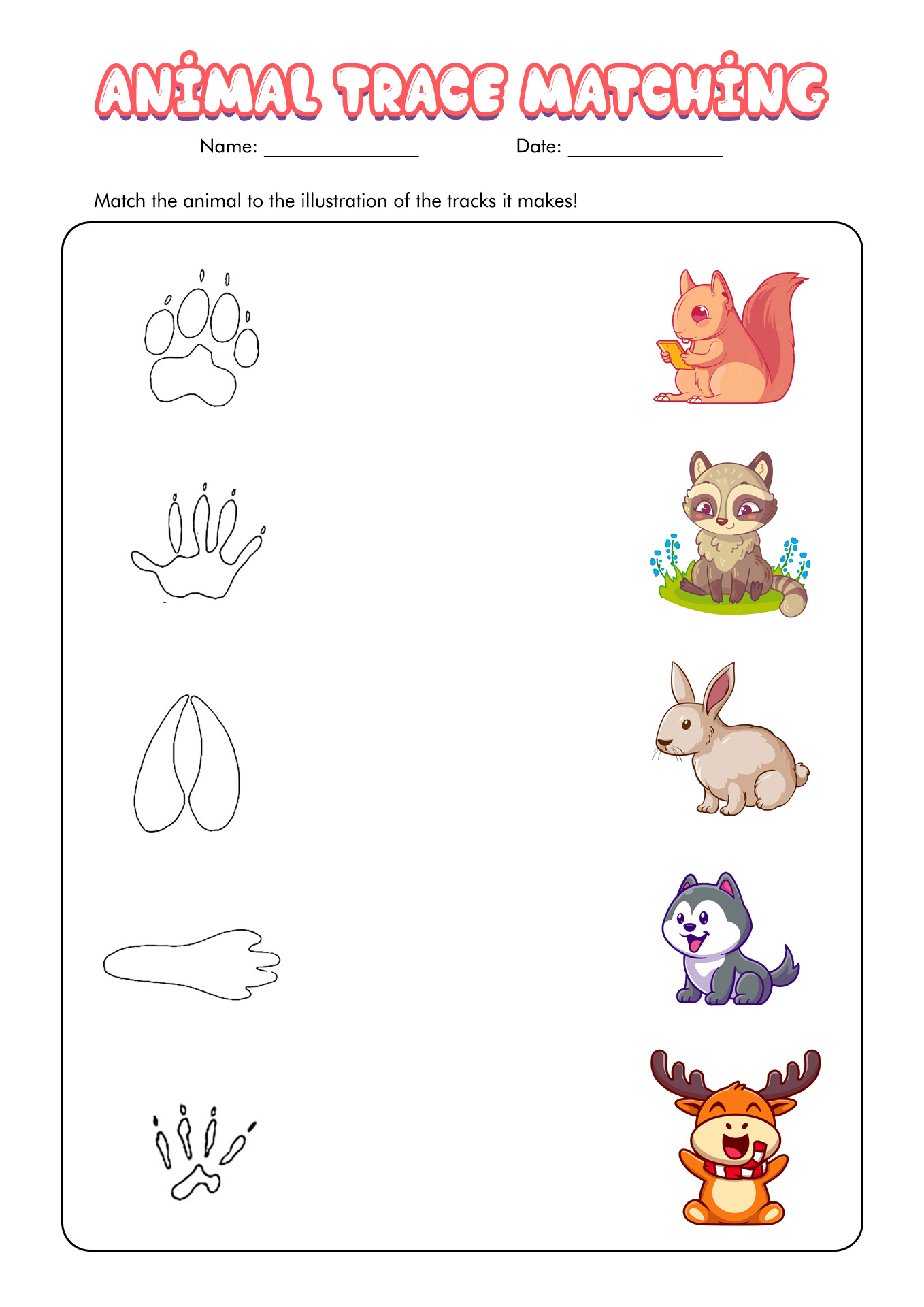 Animal Tracks Identification Worksheet Image